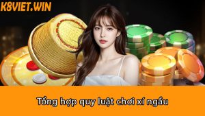 tổng hợp quy luật chơi xí ngầu